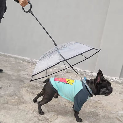 C-Shape Handle Umbrella for Small Medium Dogs Pet Umbrella with Adjustable Leash Rain/Snow Walking Doggy Umbralla