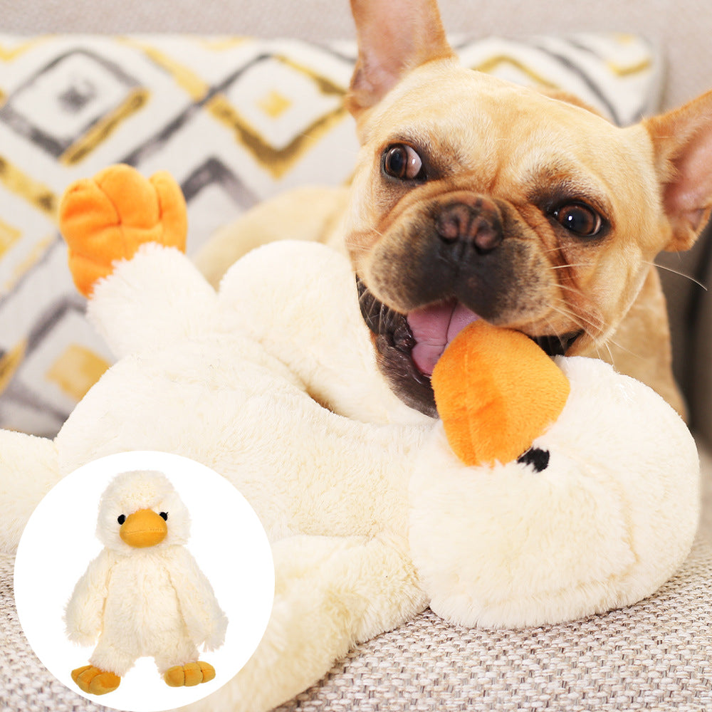 Supplier photo of plush duck dog toy